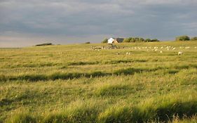 Hof Rickelsbüll - Nordseeurlaub auf dem Biobauernhof